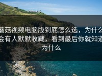 蘑菇视频电脑版到底怎么选，为什么会有人默默收藏，看到最后你就知道为什么