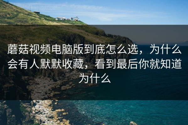 蘑菇视频电脑版到底怎么选，为什么会有人默默收藏，看到最后你就知道为什么