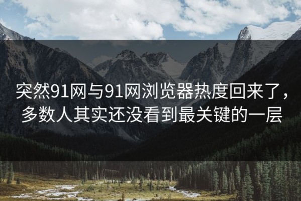 突然91网与91网浏览器热度回来了，多数人其实还没看到最关键的一层