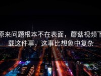 原来问题根本不在表面，蘑菇视频下载这件事，这事比想象中复杂