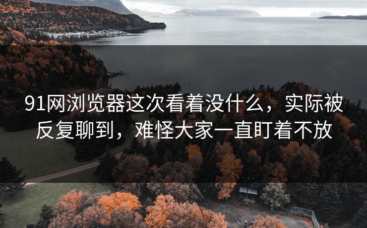 91网浏览器这次看着没什么，实际被反复聊到，难怪大家一直盯着不放