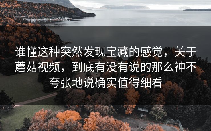 谁懂这种突然发现宝藏的感觉,关于蘑菇视频,到底有没有说的那么神不夸张地说确实值得细看 谁懂这种突然发现宝藏的感觉,关于蘑菇视频,到底有没有说的那么神不夸张地说确实值得细看