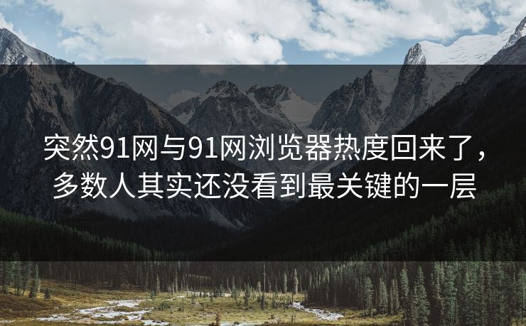 突然91网与91网浏览器热度回来了，多数人其实还没看到最关键的一层