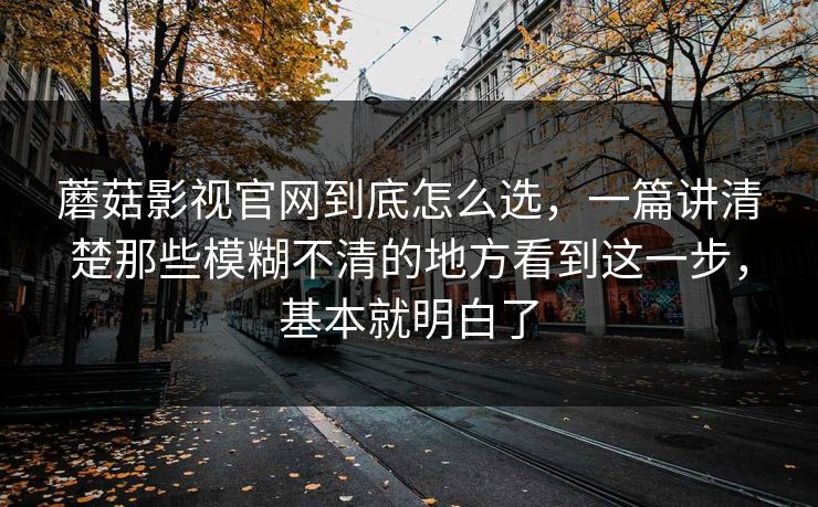 蘑菇影视官网到底怎么选，一篇讲清楚那些模糊不清的地方看到这一步，基本就明白了