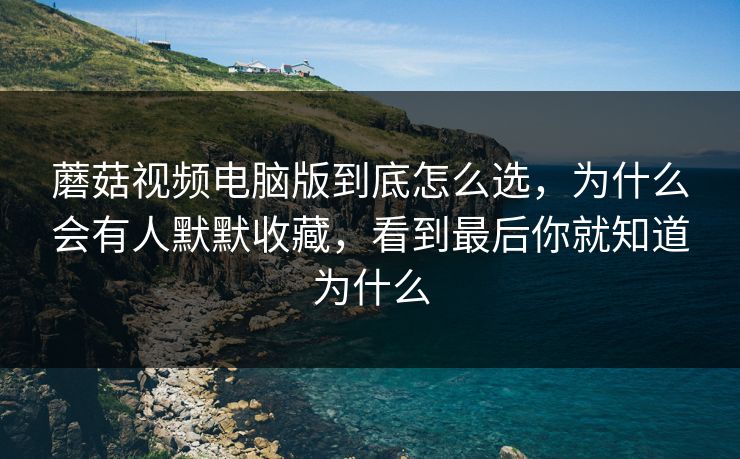 蘑菇视频电脑版到底怎么选，为什么会有人默默收藏，看到最后你就知道为什么