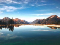 说实话我有点意外，蘑菇影视官网真的有那么多人在用吗，不是噱头，细看确实有东西