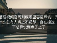 蘑菇视频官网到底哪里容易踩坑：为什么总有人嘴上不说却一直在搜这一下总算说到点子上了