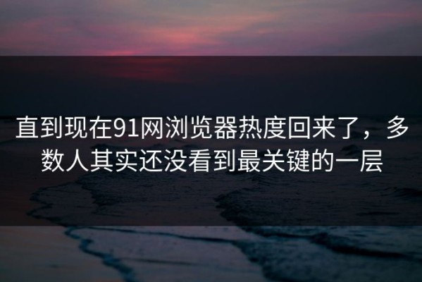 直到现在91网浏览器热度回来了，多数人其实还没看到最关键的一层