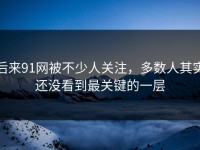 后来91网被不少人关注，多数人其实还没看到最关键的一层