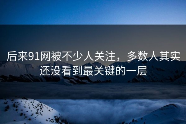 后来91网被不少人关注，多数人其实还没看到最关键的一层