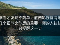 细看才发现不简单，蘑菇影视官网这几个细节比你想的重要，懂的人往往只提醒这一步