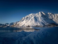 很多人忽略了，蘑菇影视官网，ios版本为什么总被追问？不少人看到这里才反应过来