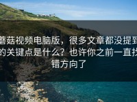 蘑菇视频电脑版，很多文章都没提到的关键点是什么？也许你之前一直找错方向了