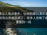 真让人有点意外，91网和新91黑料直到现在热度回来了，很多人忽略了最重要的一段