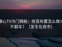糖心TV冷门揭秘：收音布置怎么做才不翻车？（发生在夜市）