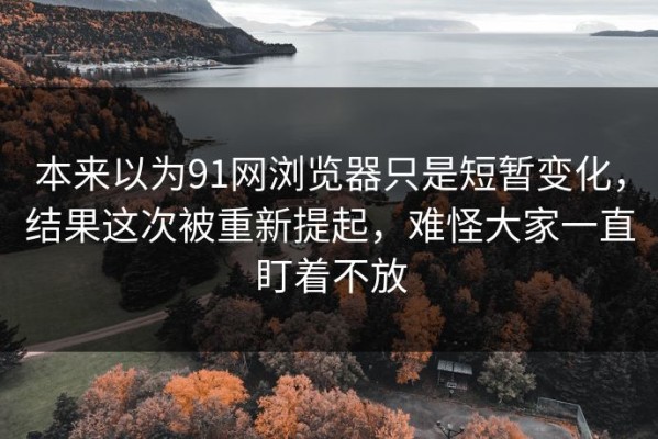 本来以为91网浏览器只是短暂变化，结果这次被重新提起，难怪大家一直盯着不放