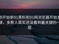 刚开始新91黑料和91网浏览器开始发酵，多数人其实还没看到最关键的一层