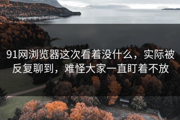 91网浏览器这次看着没什么，实际被反复聊到，难怪大家一直盯着不放
