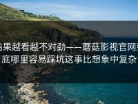 结果越看越不对劲——蘑菇影视官网到底哪里容易踩坑这事比想象中复杂