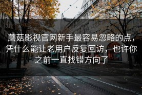 蘑菇影视官网新手最容易忽略的点，凭什么能让老用户反复回访，也许你之前一直找错方向了