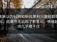 本来以为91网和新91黑料只是短暂变化，结果今天出现了新变化，情绪起伏几乎藏不住