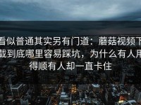 看似普通其实另有门道：蘑菇视频下载到底哪里容易踩坑，为什么有人用得顺有人却一直卡住