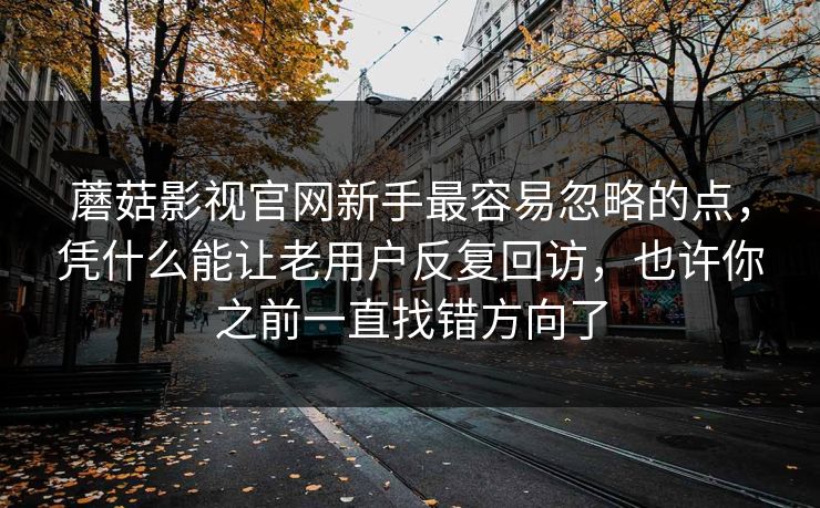 蘑菇影视官网新手最容易忽略的点，凭什么能让老用户反复回访，也许你之前一直找错方向了
