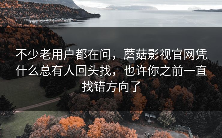 不少老用户都在问，蘑菇影视官网凭什么总有人回头找，也许你之前一直找错方向了