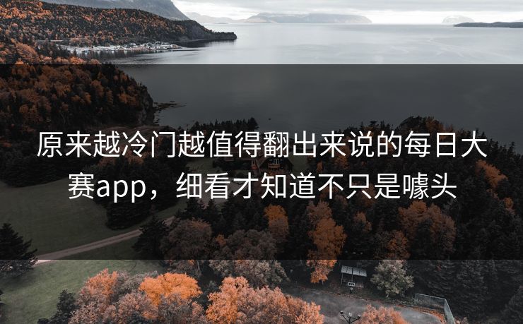 原来越冷门越值得翻出来说的每日大赛app，细看才知道不只是噱头