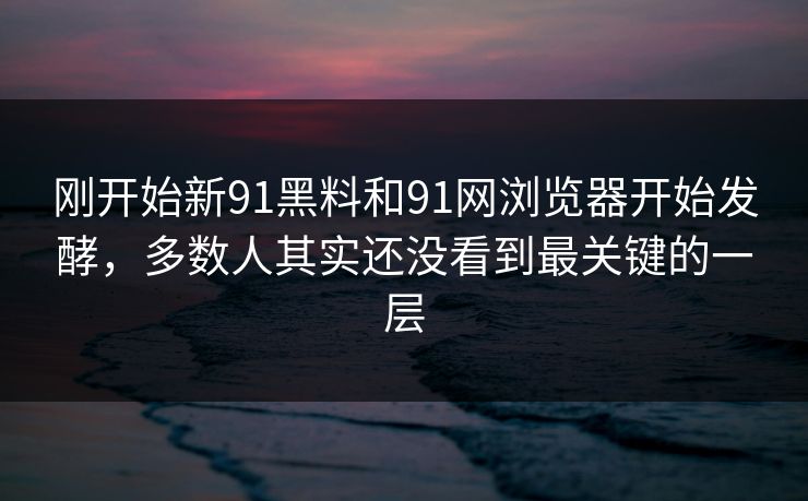 刚开始新91黑料和91网浏览器开始发酵，多数人其实还没看到最关键的一层