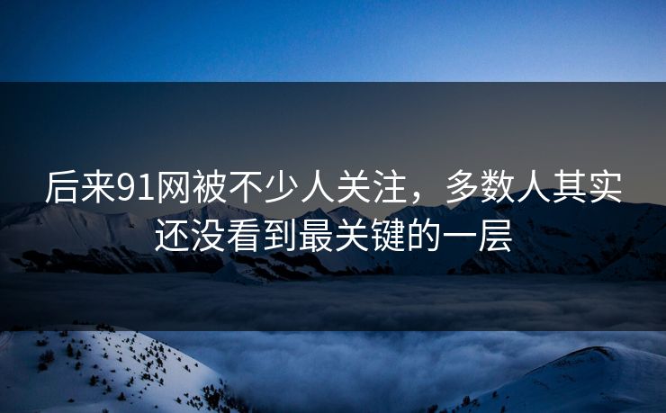 后来91网被不少人关注，多数人其实还没看到最关键的一层