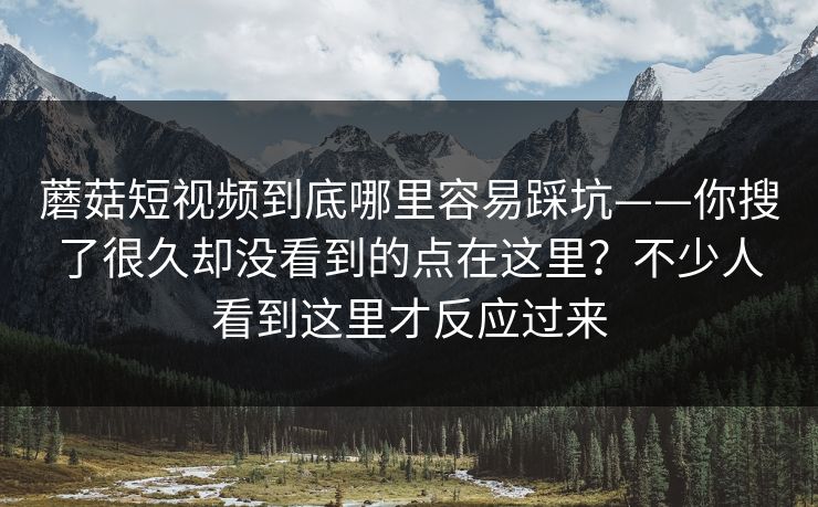 蘑菇短视频到底哪里容易踩坑——你搜了很久却没看到的点在这里？不少人看到这里才反应过来