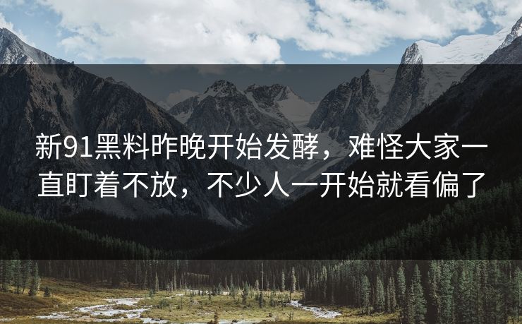新91黑料昨晚开始发酵，难怪大家一直盯着不放，不少人一开始就看偏了